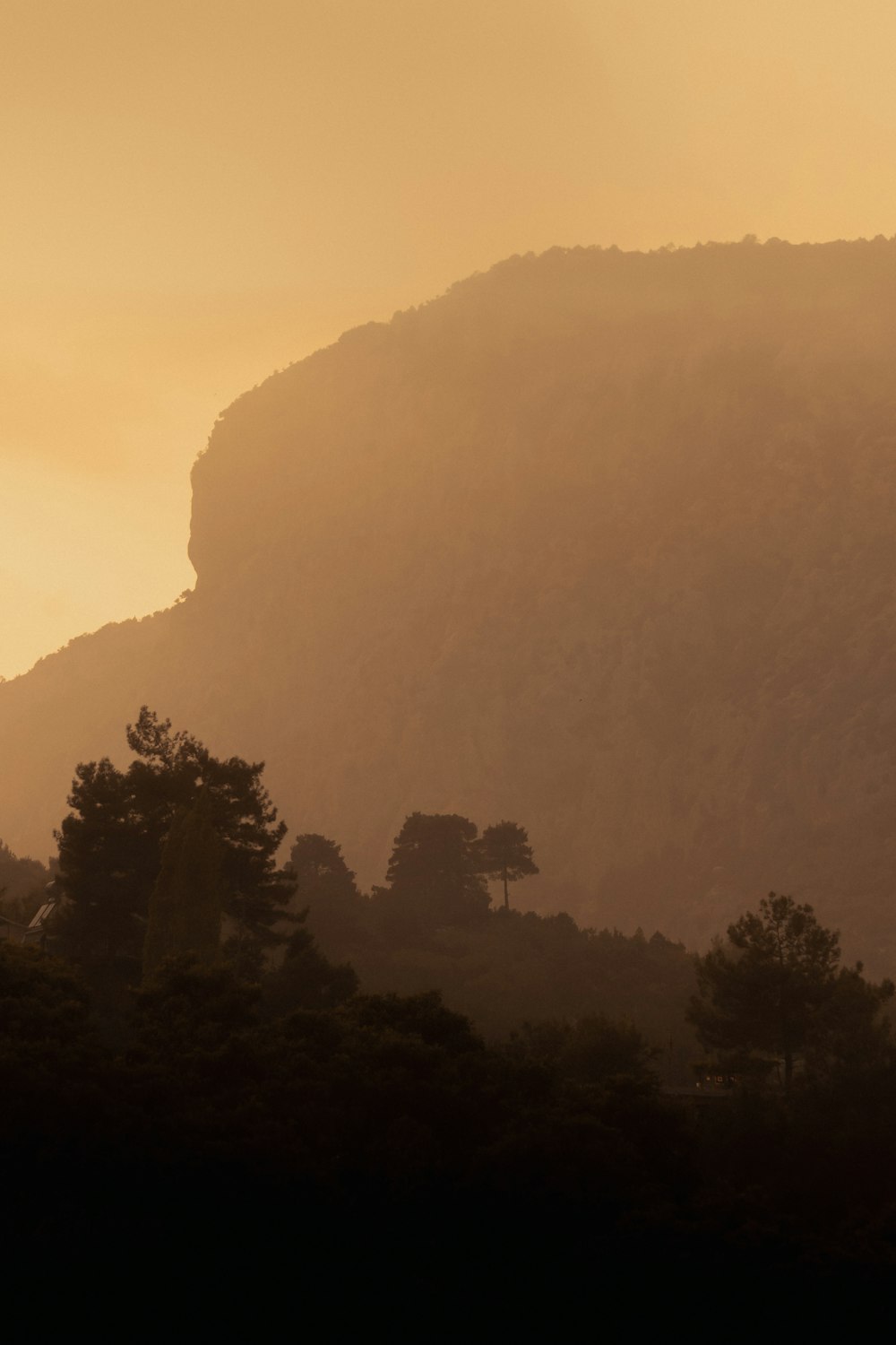 green trees on mountain during daytime