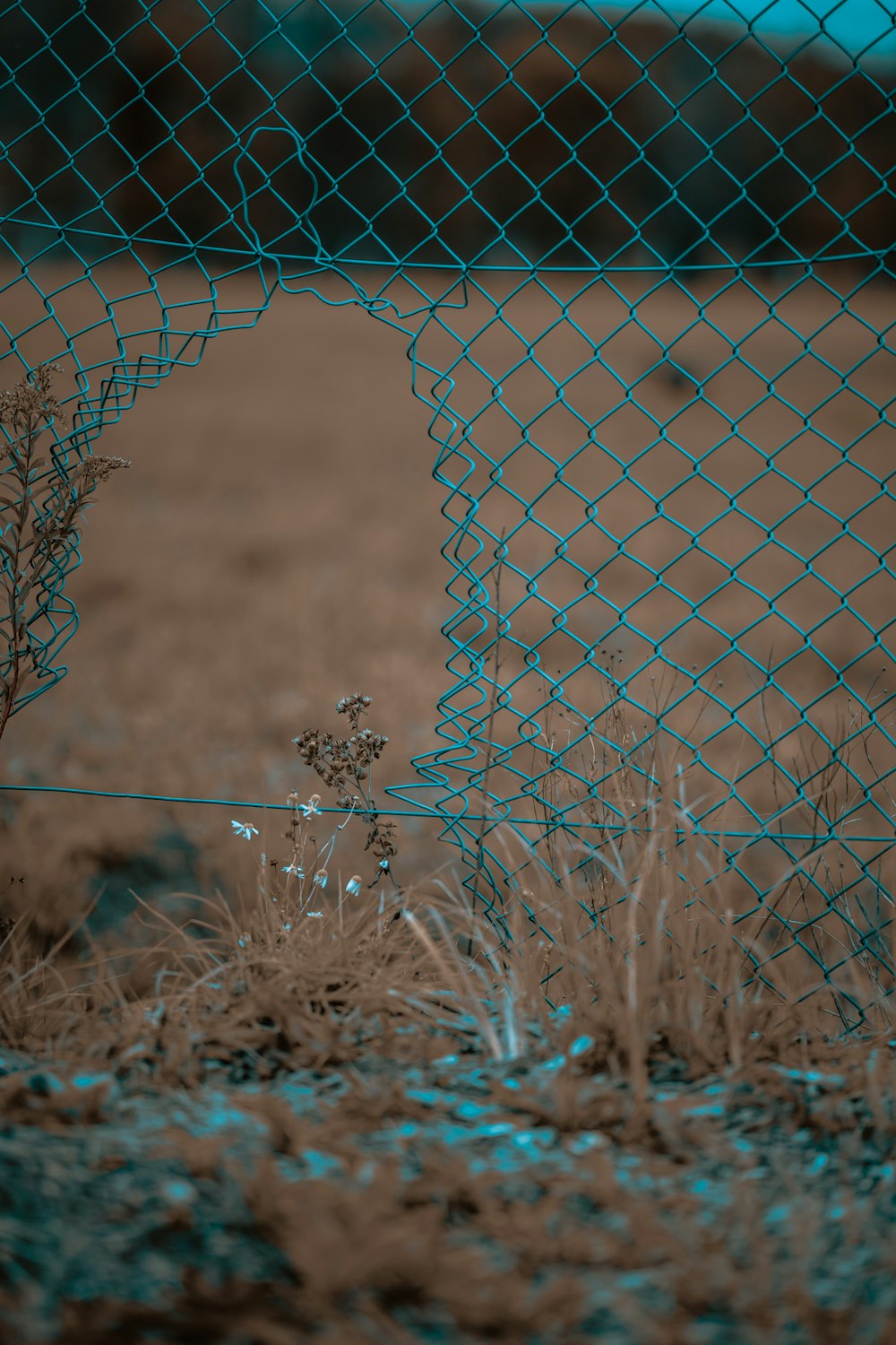 white and black spider web on brown grass during daytime