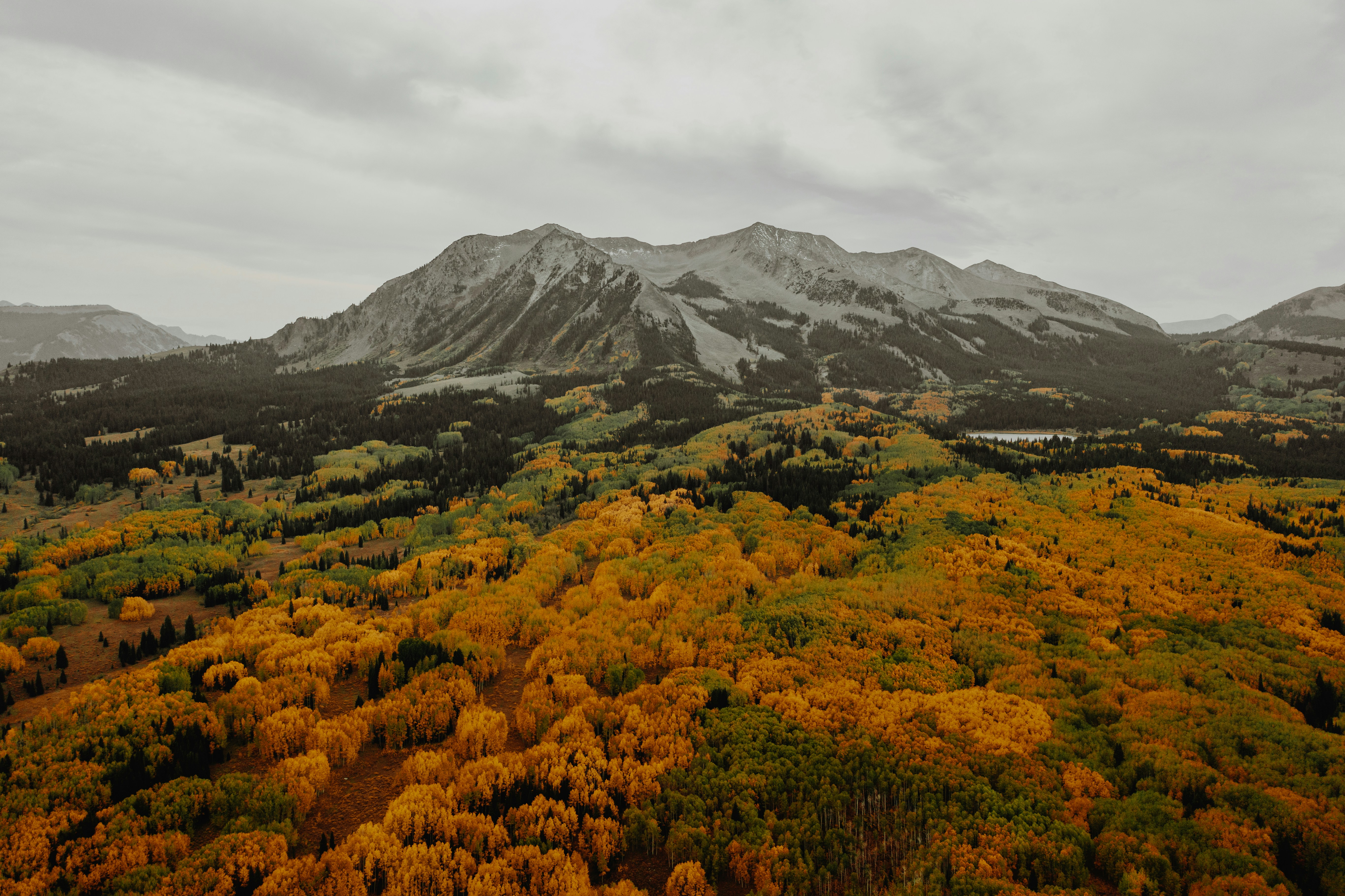 grüne und braune Bäume in der Nähe von Bergen unter weißen Wolken während des Tages