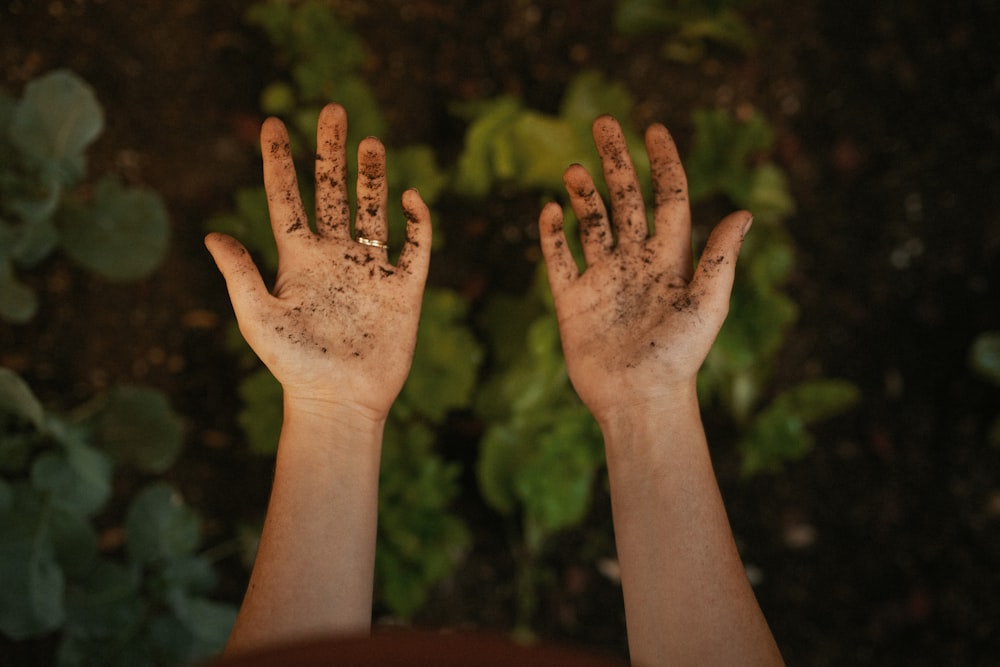 persons left hand with green nail polish