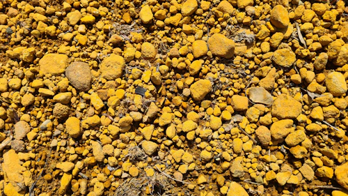 Gold panning kit