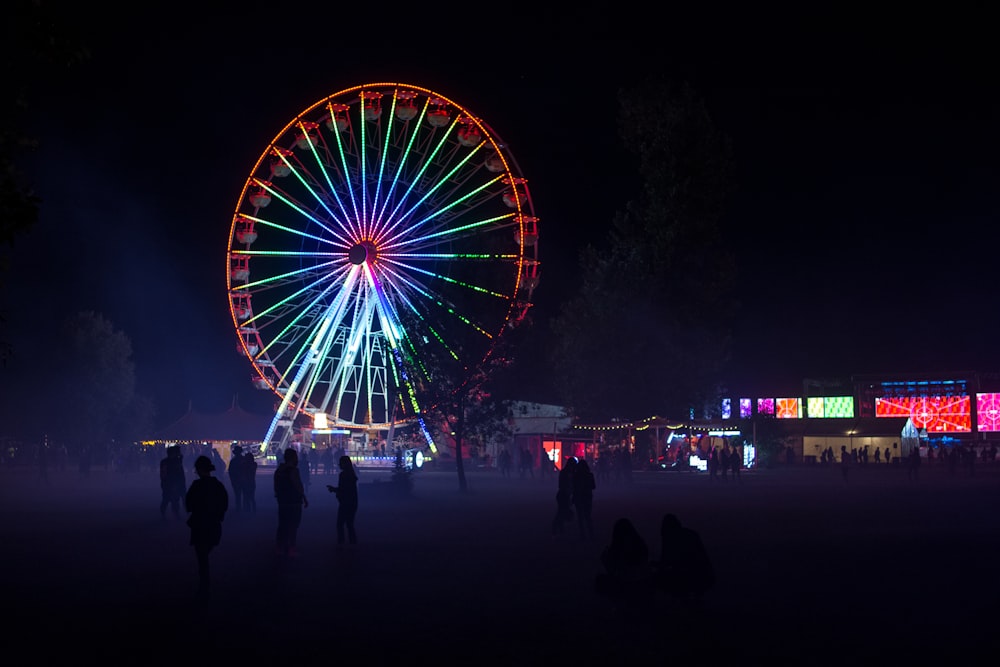 people walking on park with ferris wheel during night time