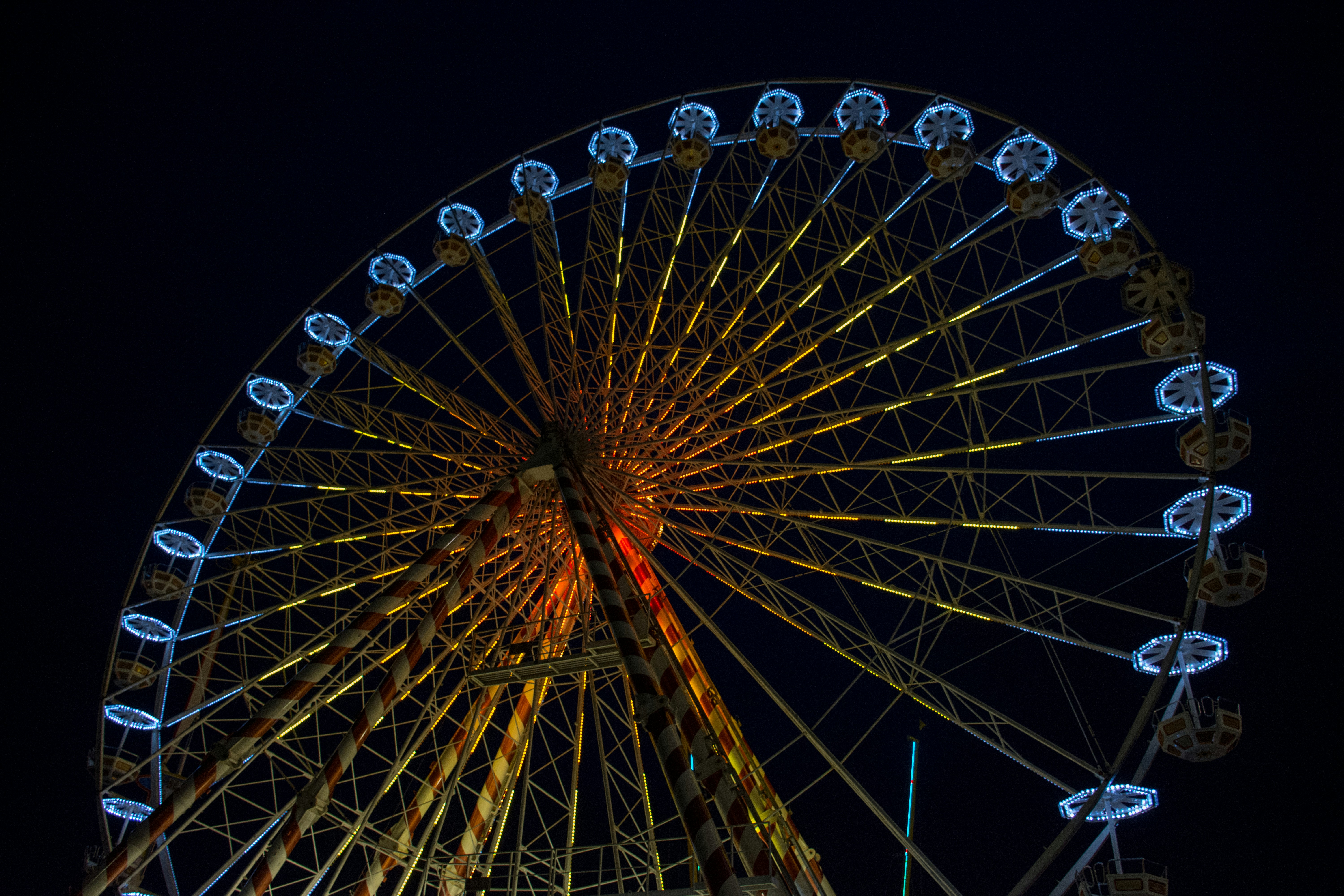 Photo by adamsterdomi