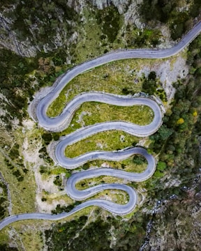 Aerial view of a winding mountain road surrounded by tall pines.