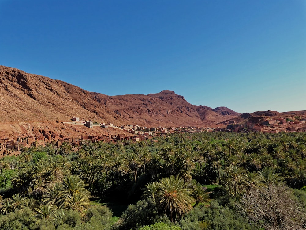 brown mountain under blue sky during daytime