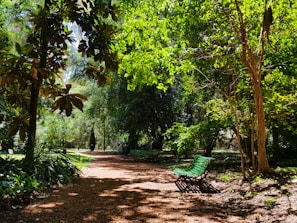 green and brown wooden bench under green trees during daytime