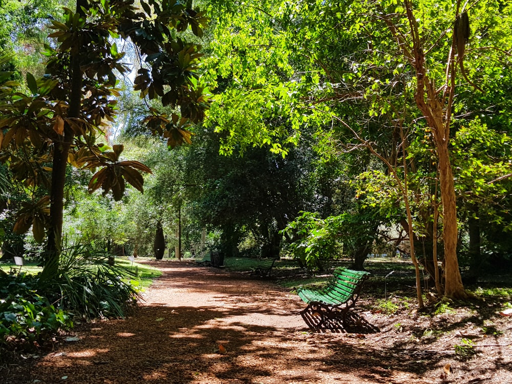 green and brown wooden bench under green trees during daytime