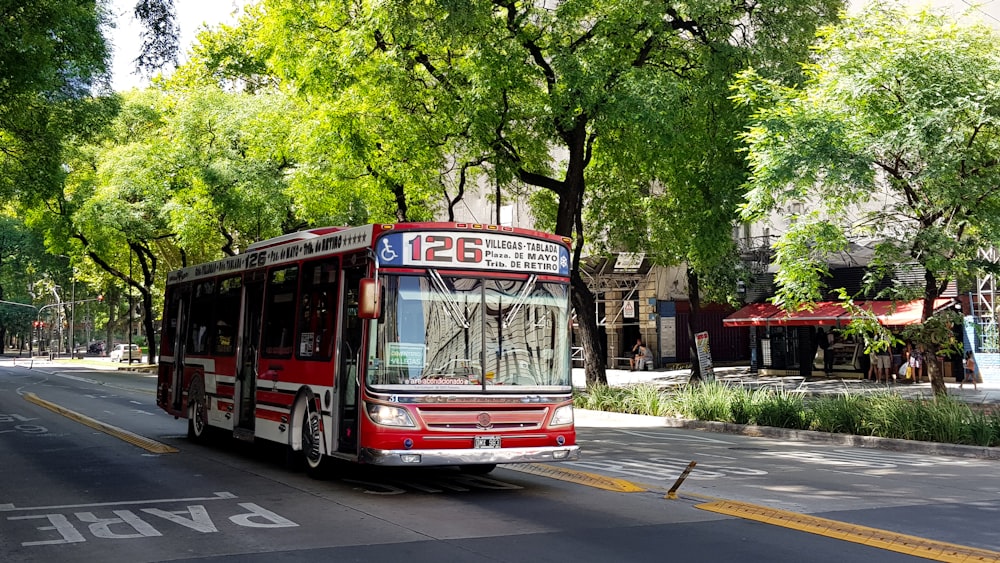 red and white bus on road during daytime