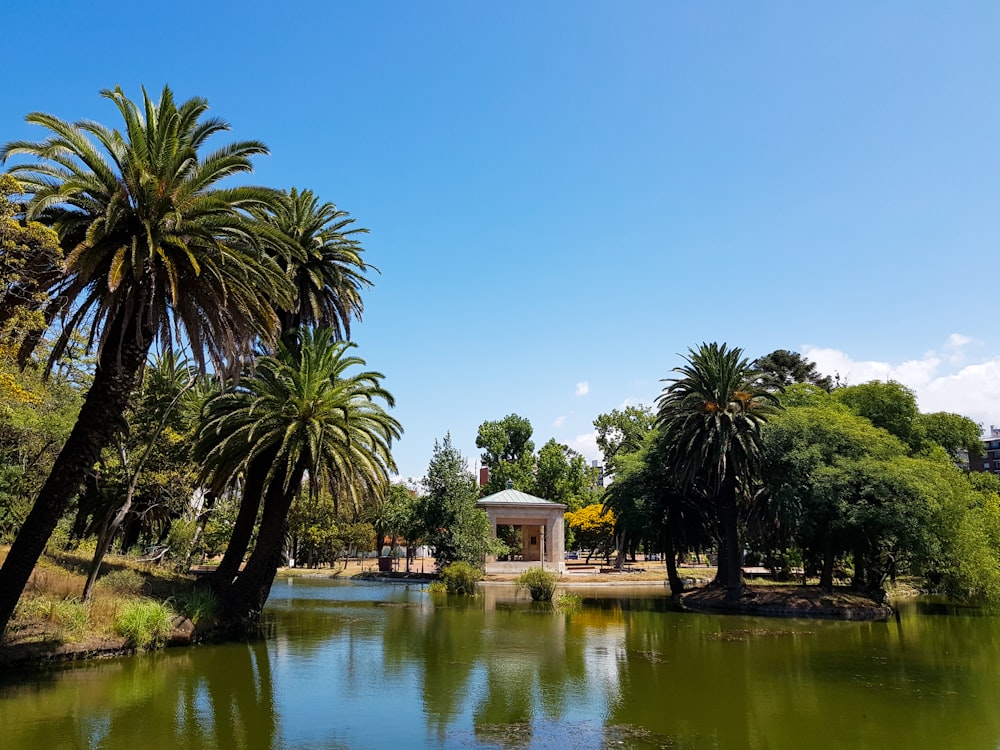 Casa blanca y marrón cerca de palmera verde y cuerpo de agua durante el día