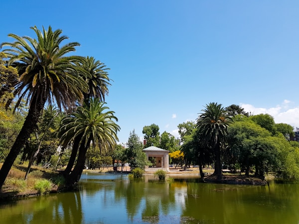 Montevideo: Exploring Local Culture & Traditions