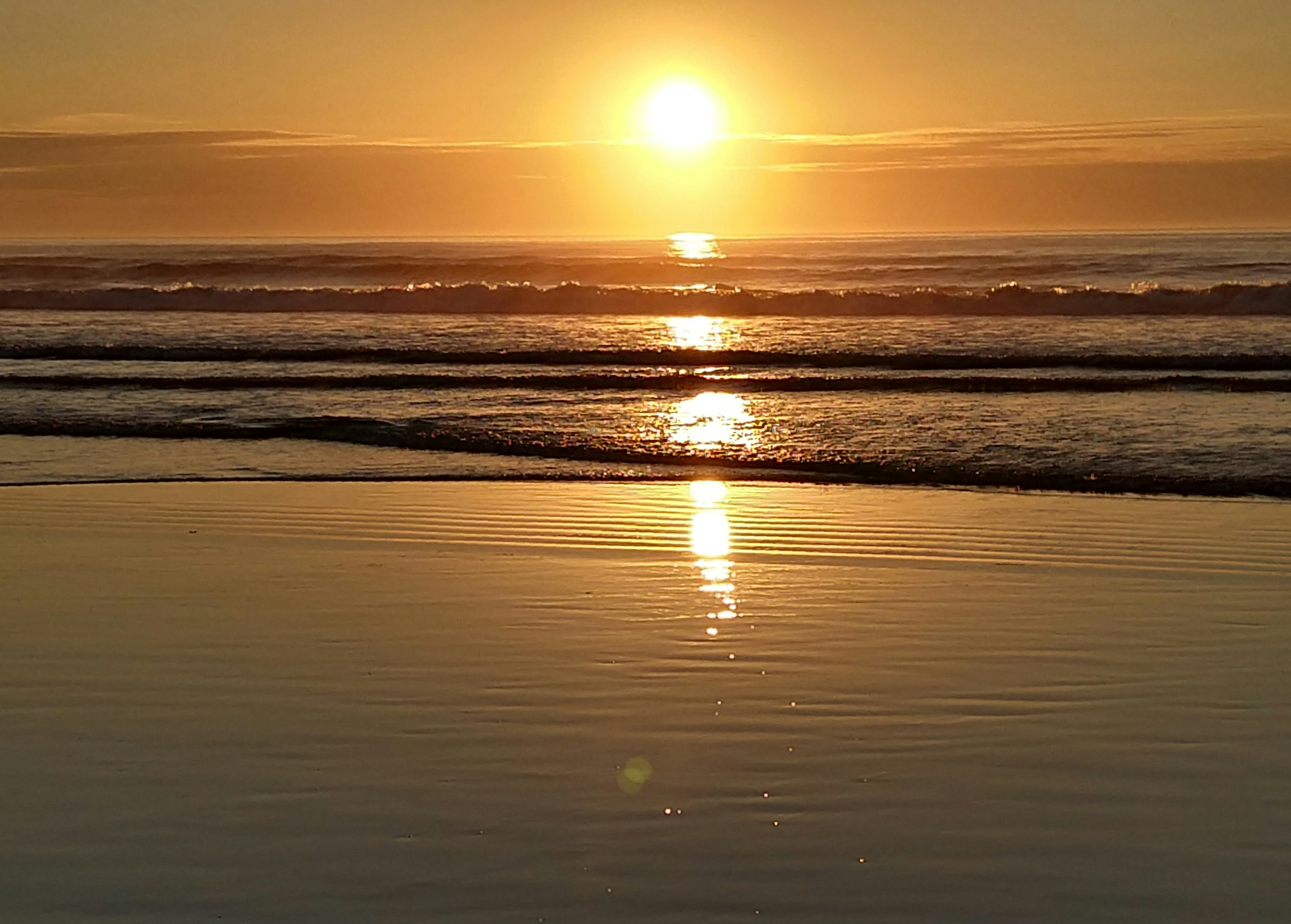 Photo by garnicanetwork