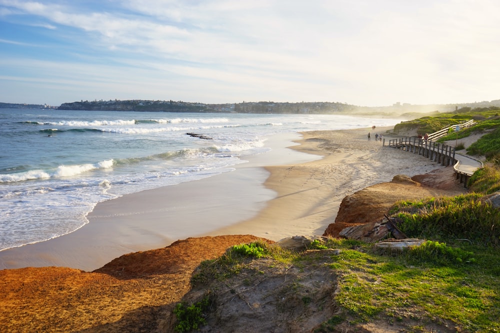 herbe verte sur sable brun près du plan d’eau pendant la journée