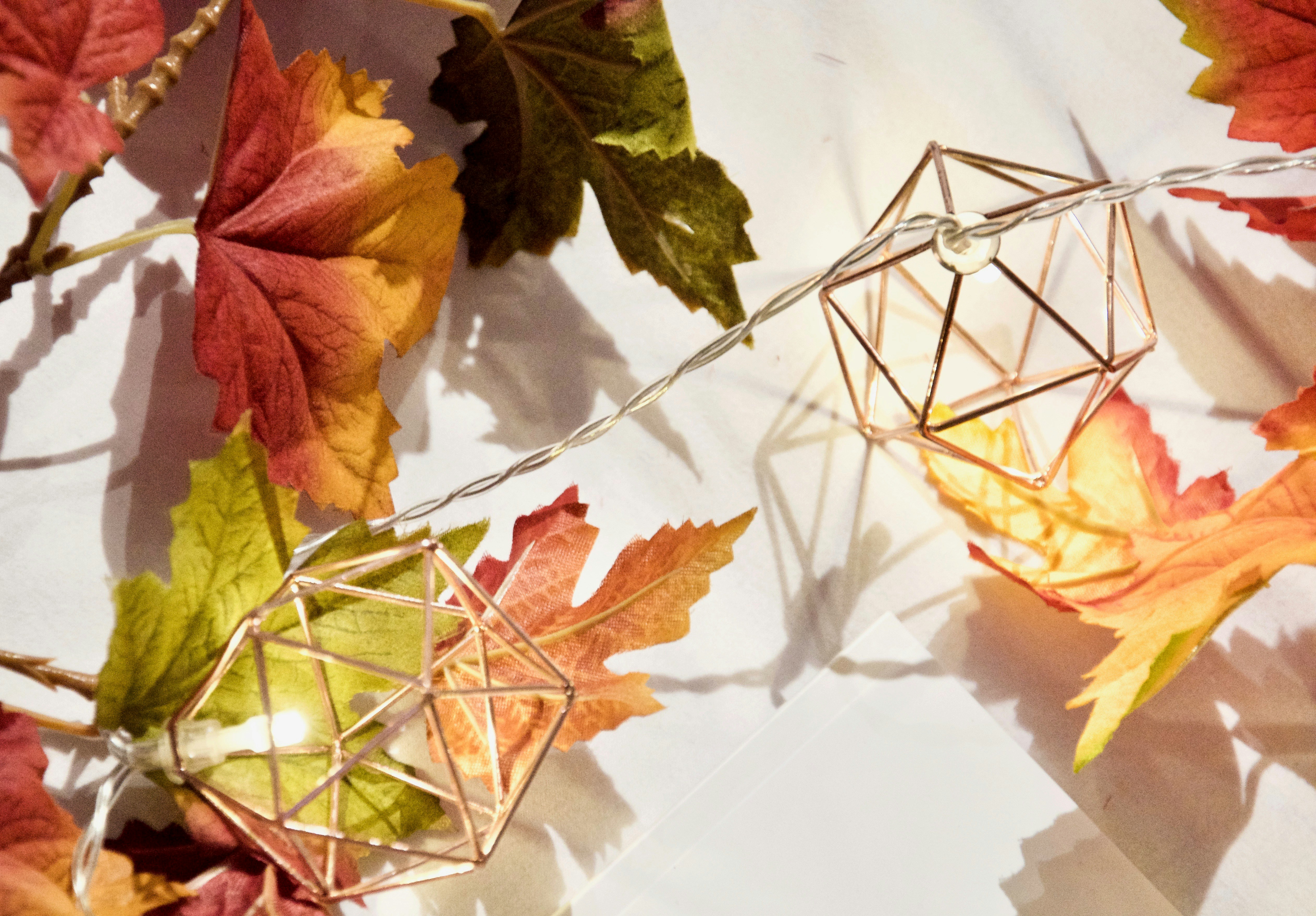 hojas rojas y verdes sobre tela blanca