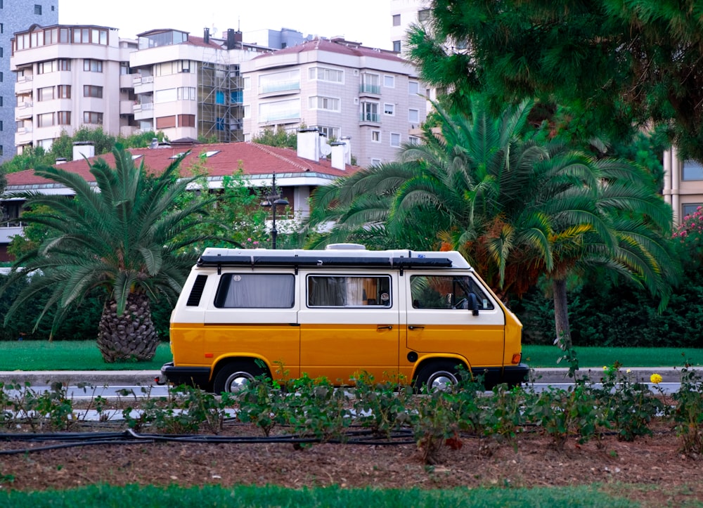 yellow and white van parked beside green palm tree during daytime