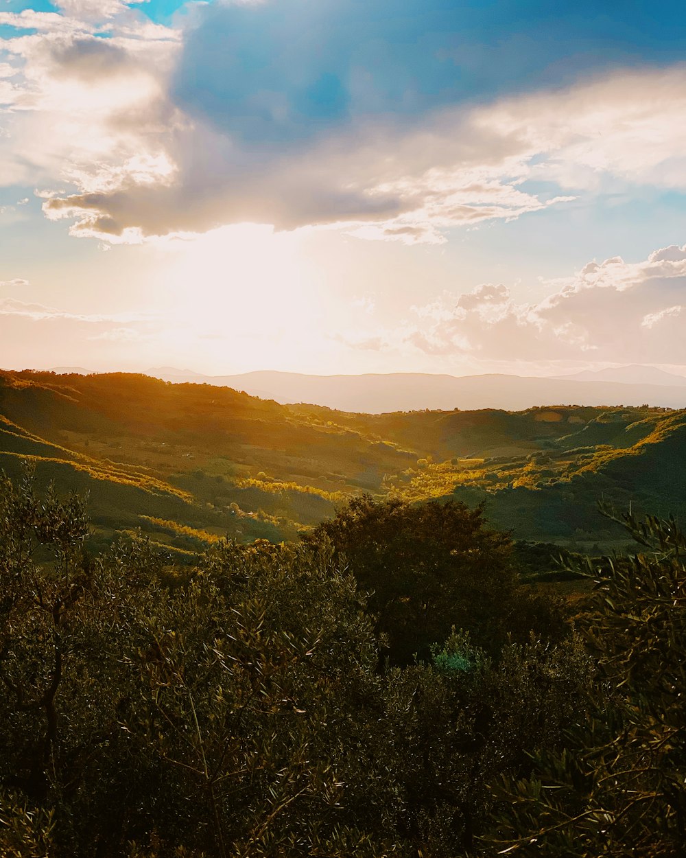 Grüne Bäume am Berg unter blauem Himmel tagsüber