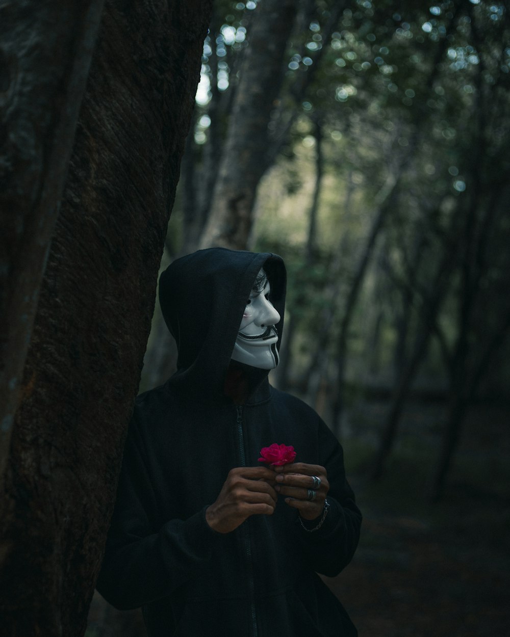 person in black hoodie standing beside tree