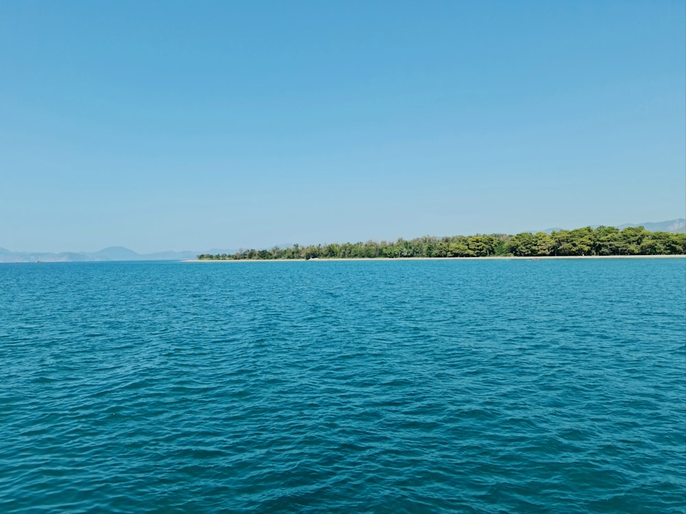 green trees beside body of water during daytime