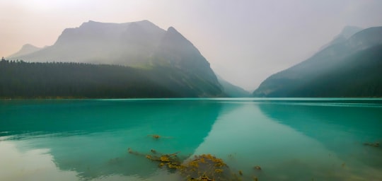 green mountains beside body of water during daytime in Banff National Park Canada