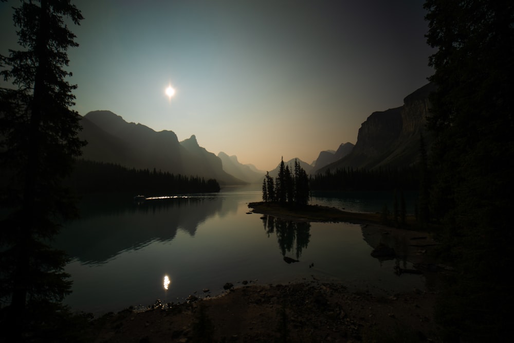 silhouette of trees near body of water during daytime