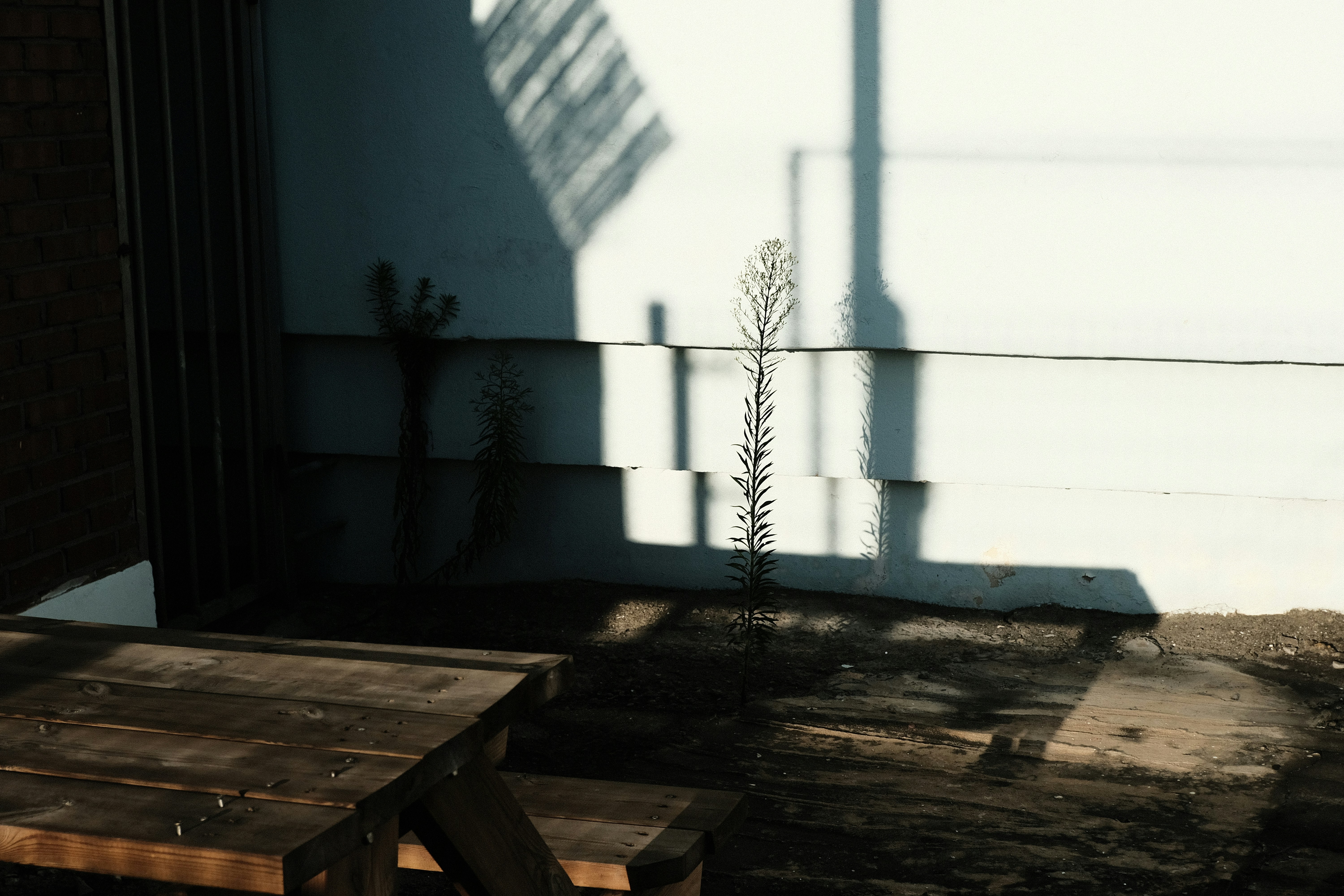 brown wooden picnic table near white concrete wall