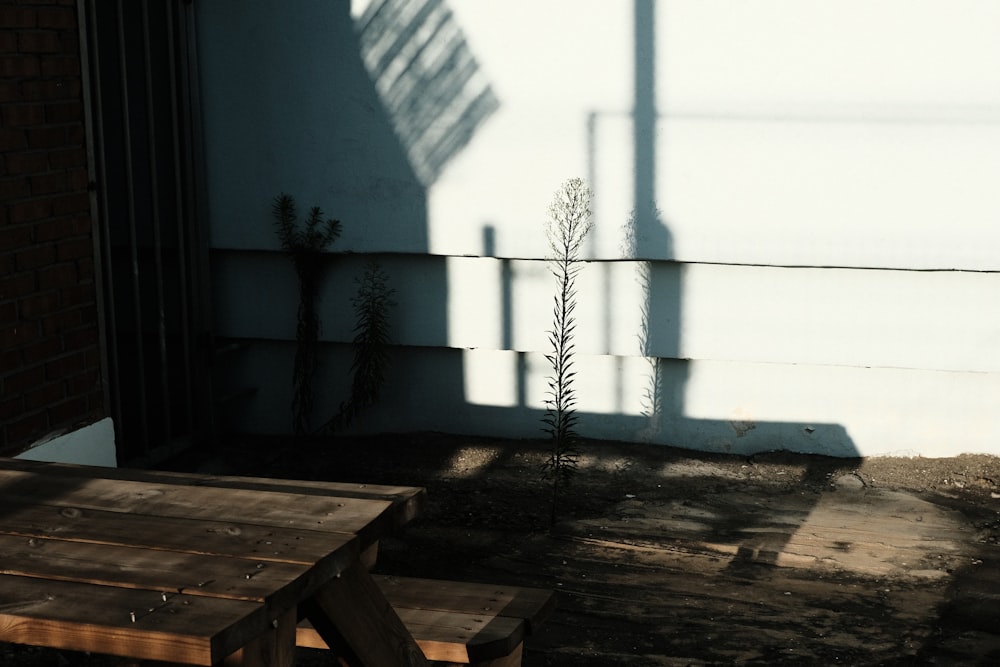 brown wooden picnic table near white concrete wall