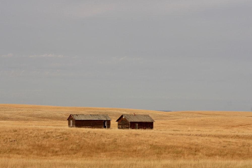 낮에는 하얀 하늘 아래 갈색 잔디밭에 있는 갈색 목조 주택