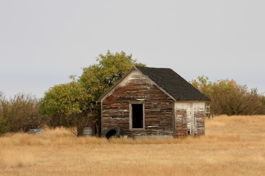 brown wooden house near green trees during daytime in Saskatchewan Canada