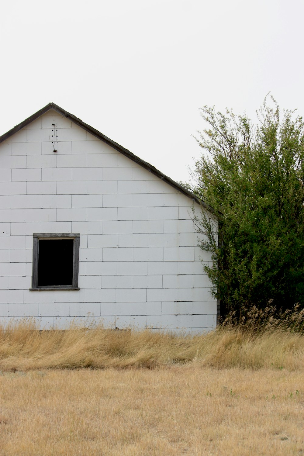 white wooden house near green tree during daytime