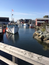 white and blue boat on water during daytime