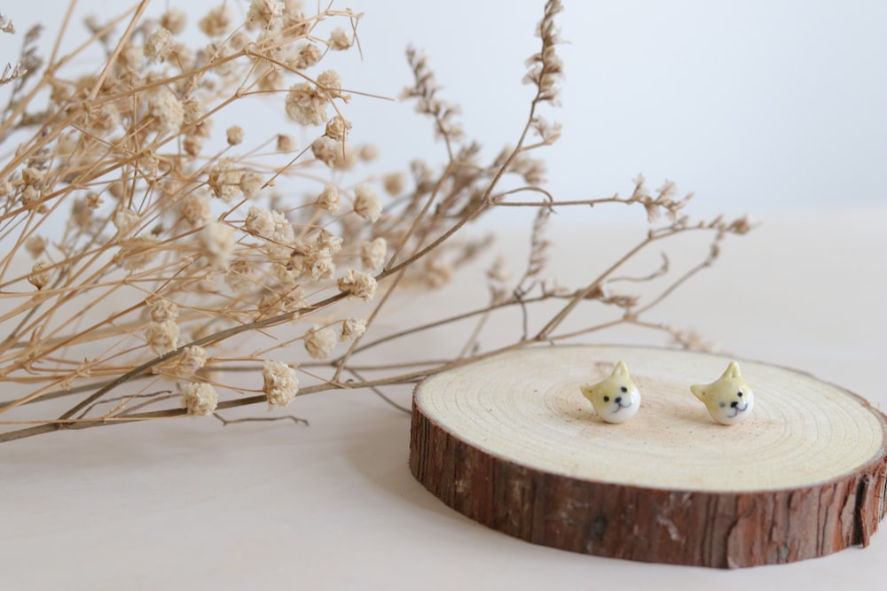 white bird on brown wooden round table