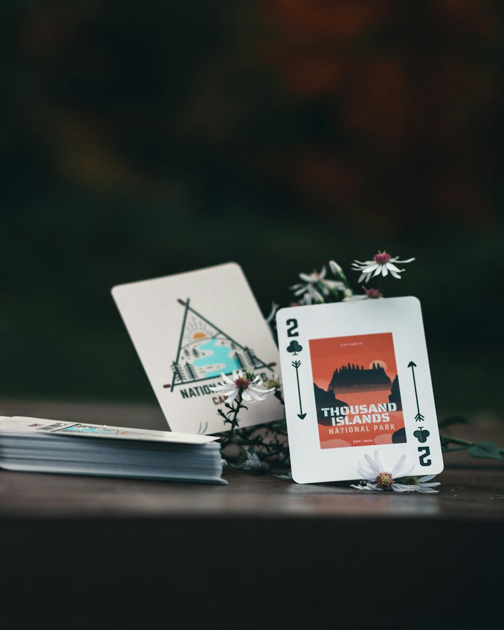 white and red book on brown wooden table