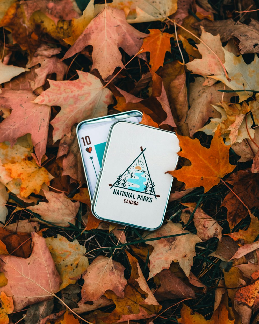 white and blue playing card on brown dried leaves