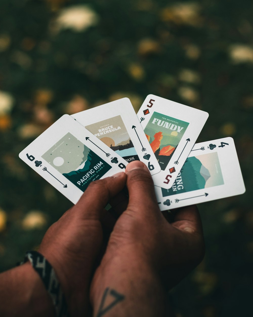 person holding white and green cards