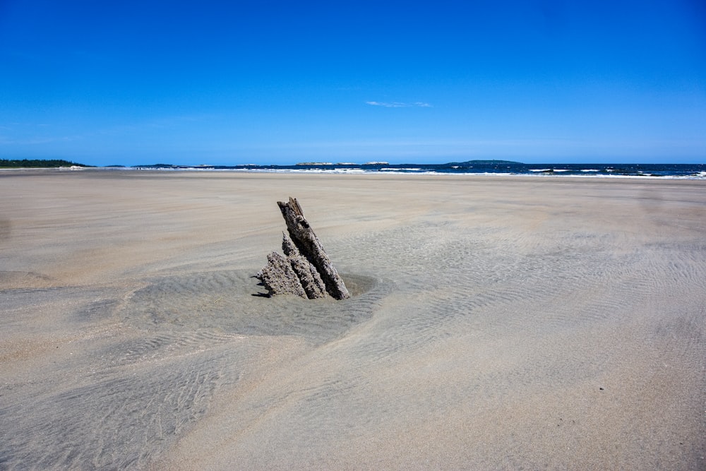tronco di legno marrone su sabbia marrone sotto il cielo blu durante il giorno
