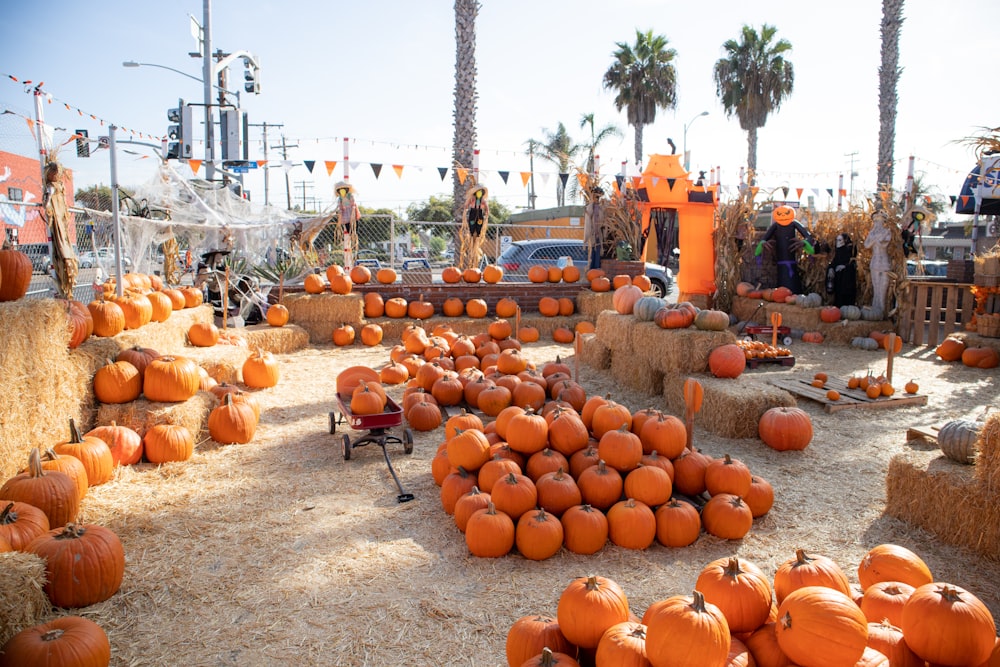 pumpkins on black steel stand