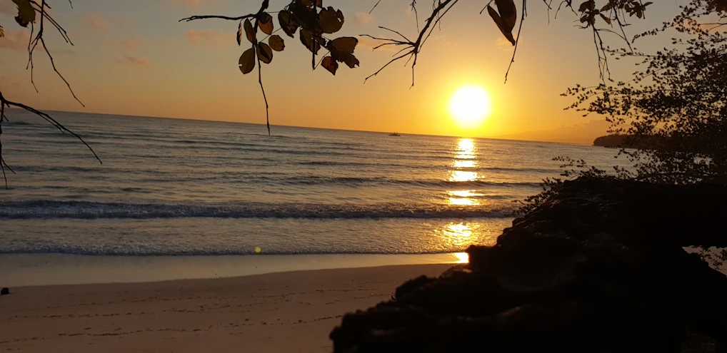 A vibrant sunset over a calm beach with silhouettes of palm trees.