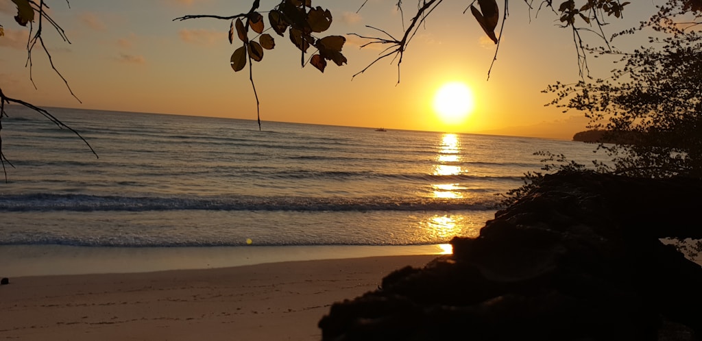 Laguna Beach Print