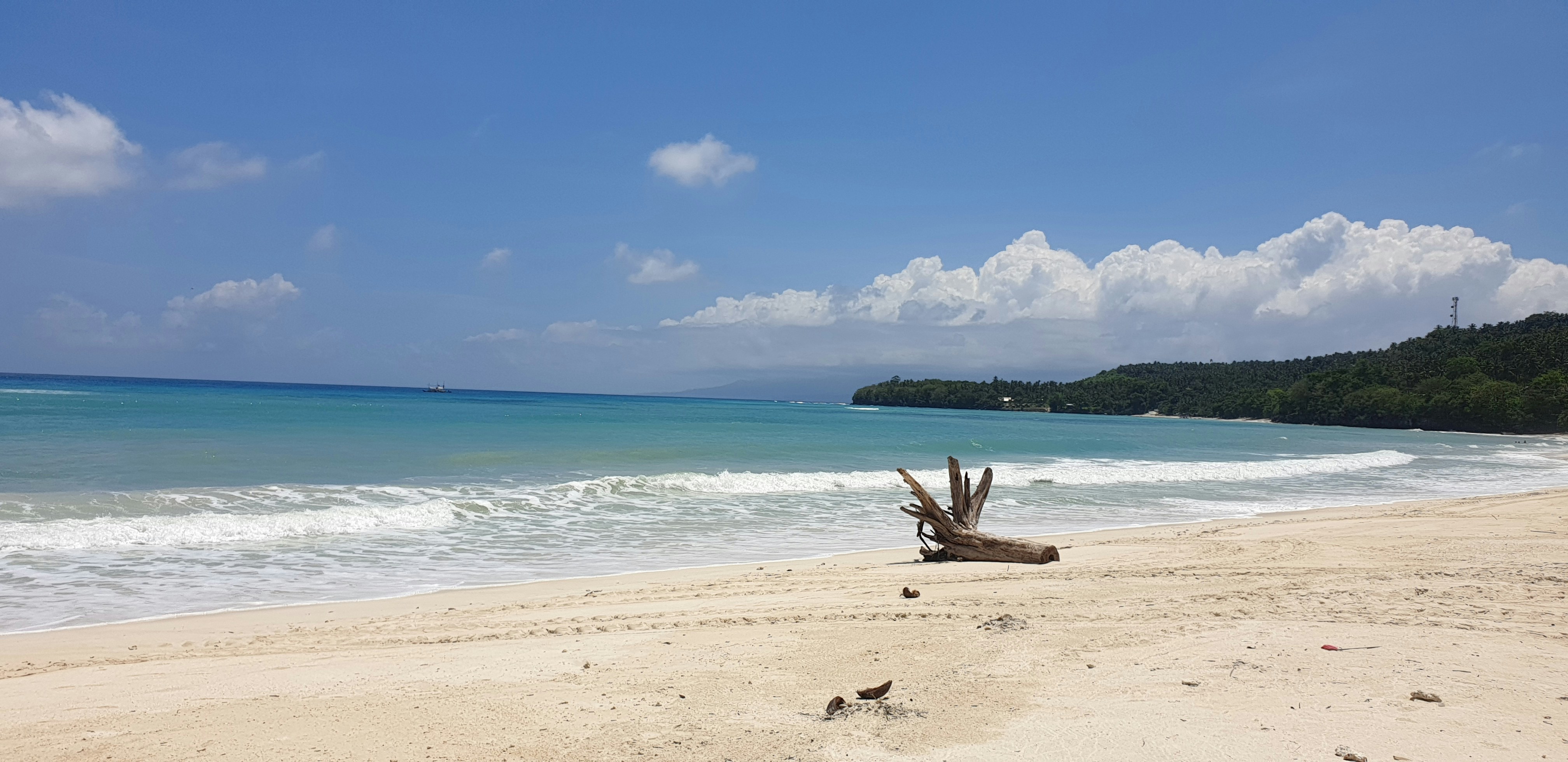 Photo by hodgepodgecoj