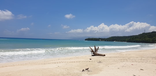 brown beach sand near body of water under blue sky during daytime in Sarangani Philippines