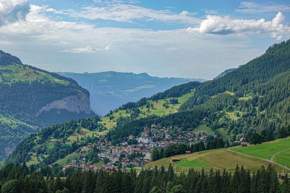 green trees on mountain under white clouds during daytime