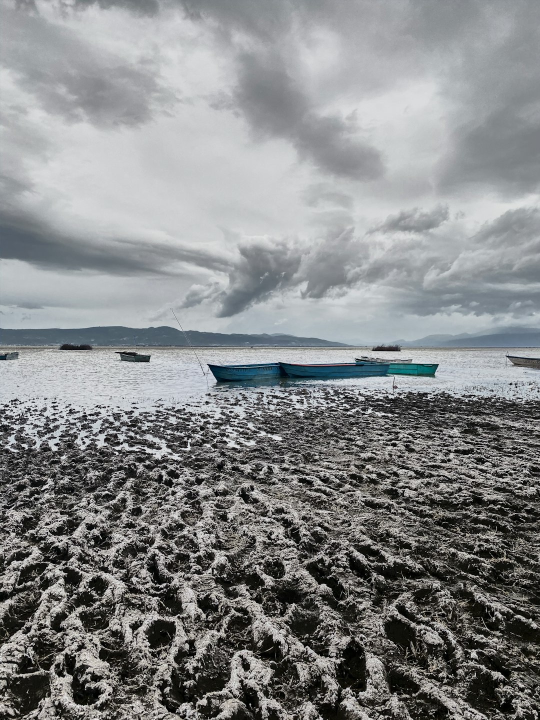 blue and white boat on sea shore during daytime
