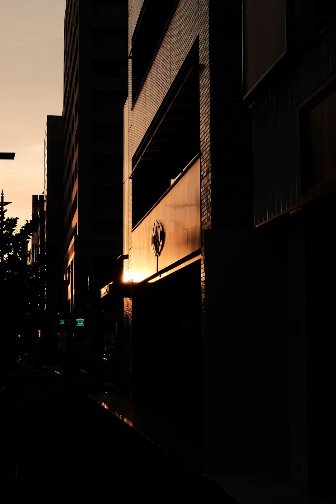 cars parked in front of building during night time