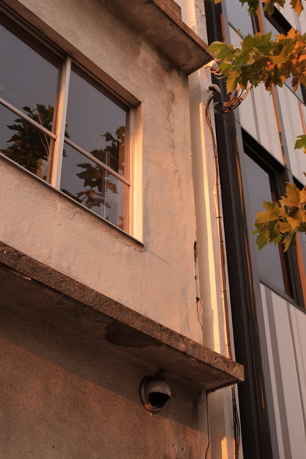 white wooden framed glass window