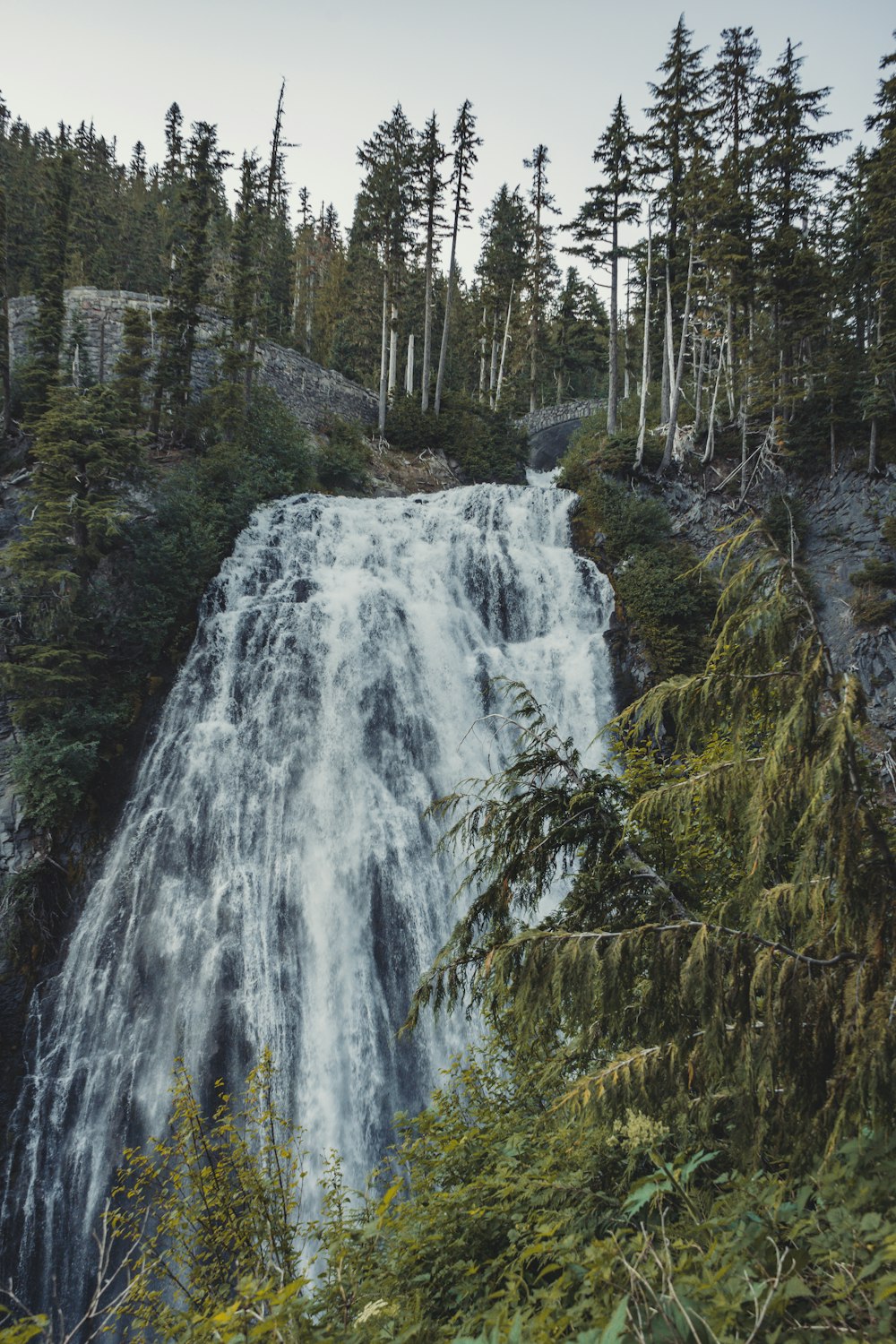 green pine trees near waterfalls during daytime