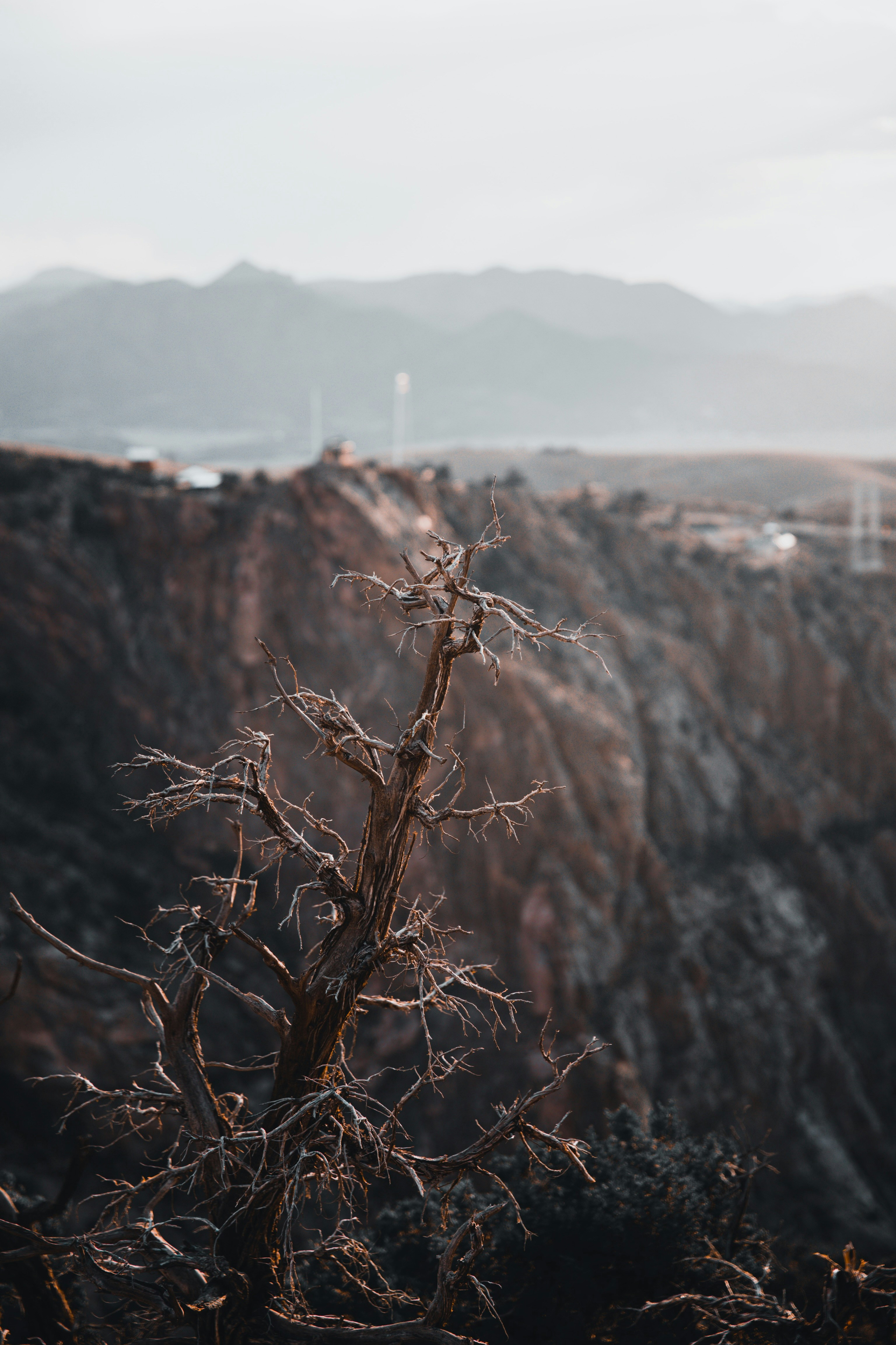 Photo by lgnwvr