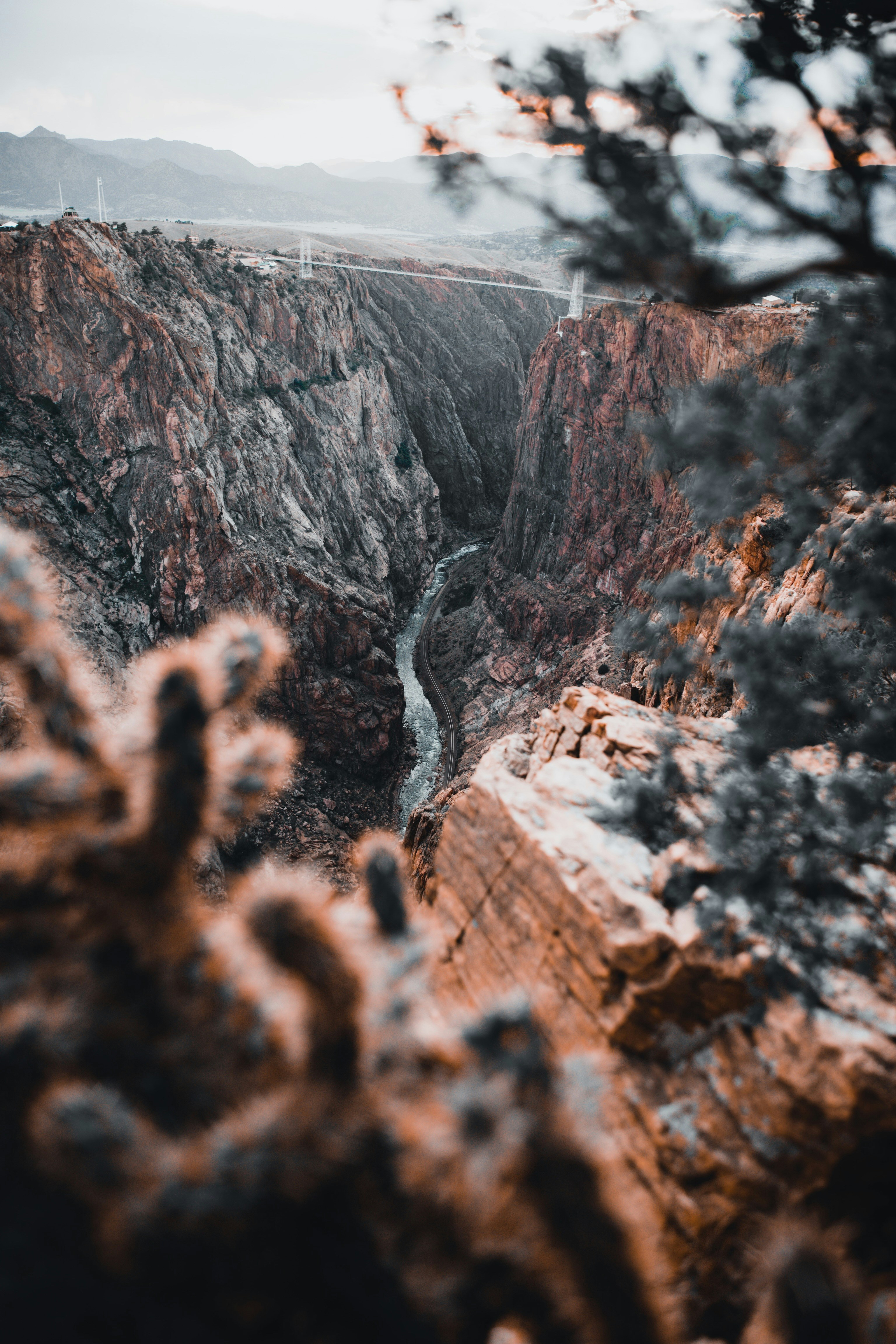 Photo by lgnwvr