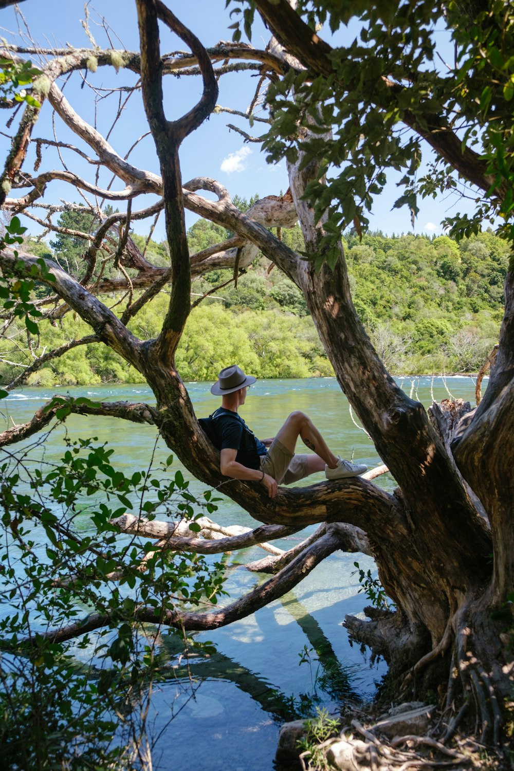 man in blue t-shirt sitting on tree branch during daytime