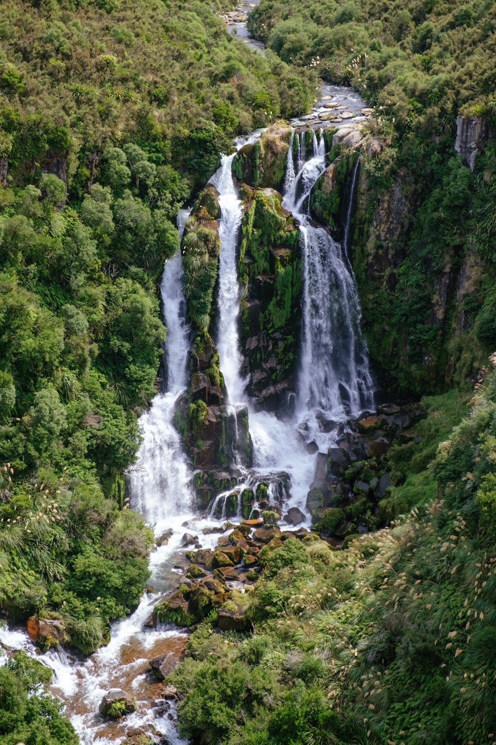 waterfalls in the middle of green trees