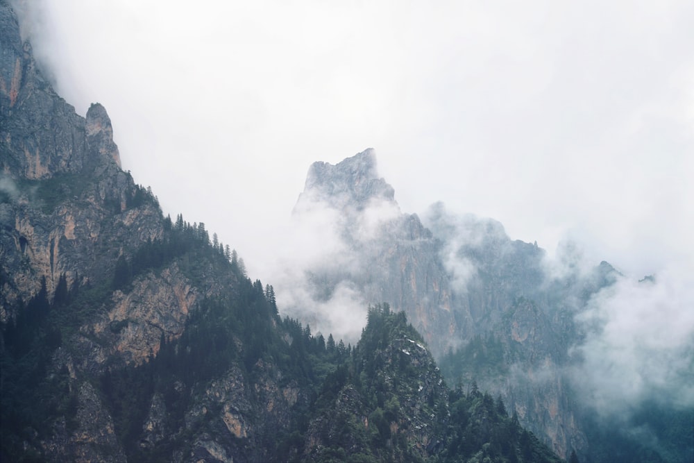 green trees on mountain under white clouds during daytime