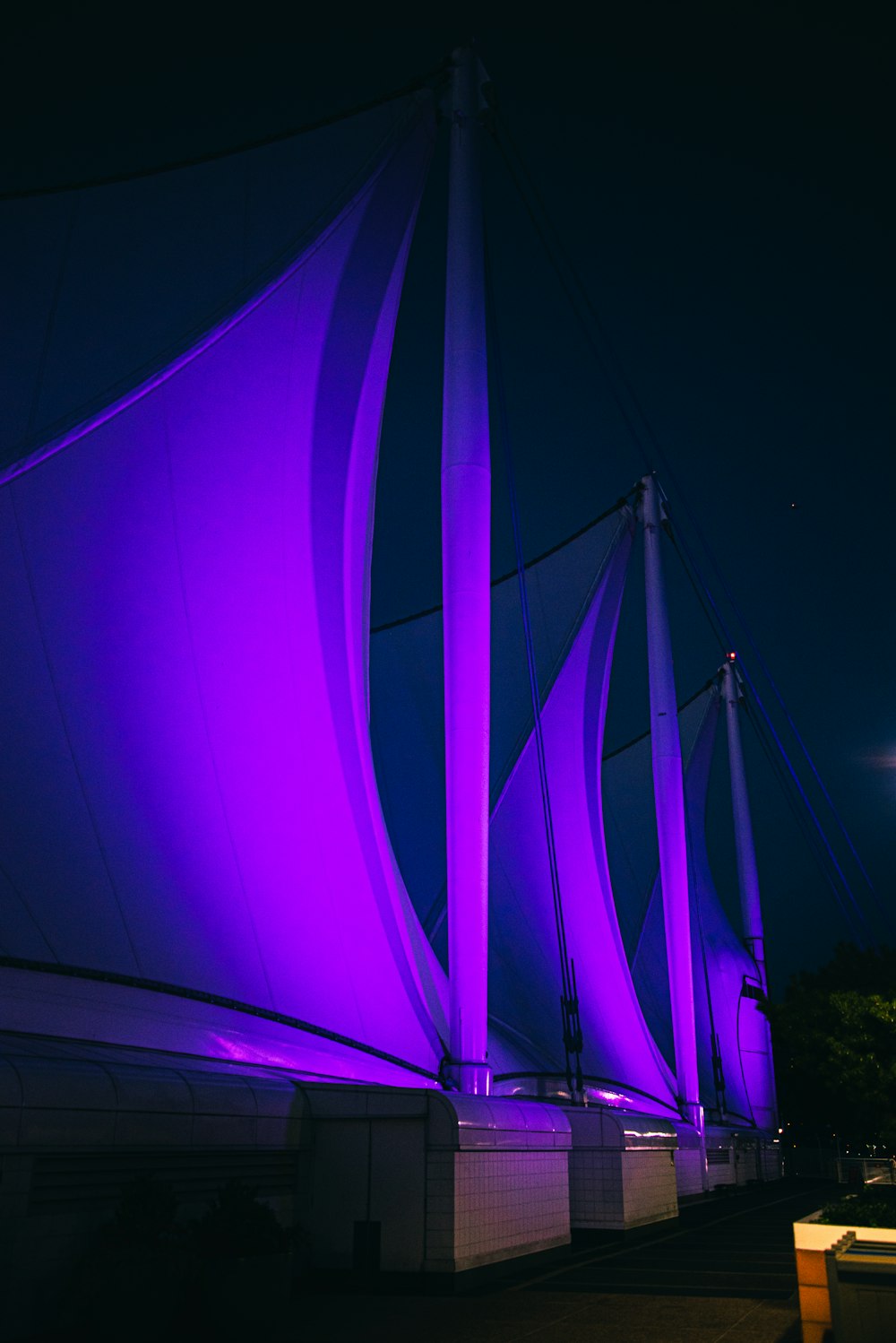 purple light in dark room